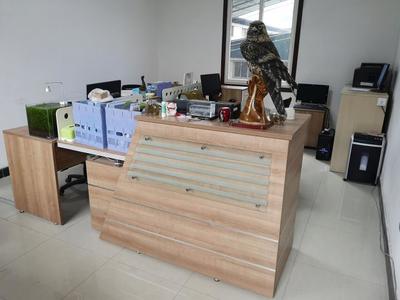 攜手共進，再譜新篇——熱烈祝賀九度與漢武機電簽署網站服務協議，深化針紡織品及原料銷售合作