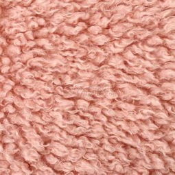 優質獅子絨全滌針織絨布 廠家直銷，PV絨家紡服裝面料現貨供應，針紡織品原料專業銷售