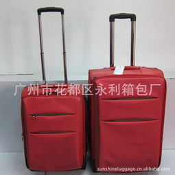廣州市花都區(qū)永利箱包廠 網(wǎng)絡科技領域內的技術開發(fā)探索